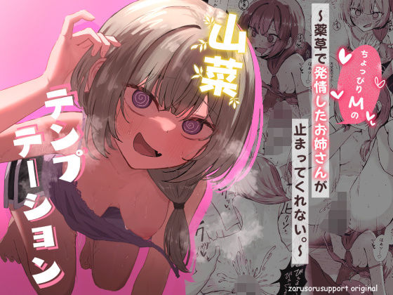 ぞるそるサポート